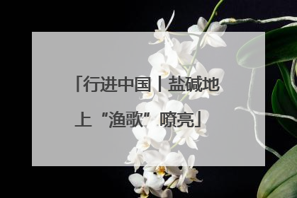 行进中国丨盐碱地上“渔歌”嘹亮